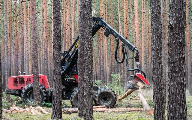 Fremtidens energikilder: Sådan kan vind og sol drive din elbil