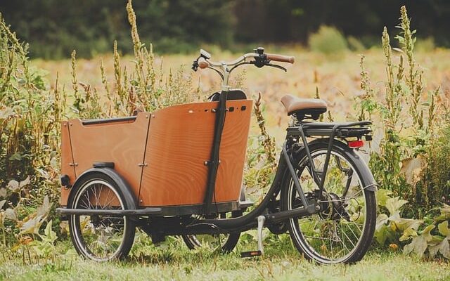 Grøn omstilling som konkurrencefordel i danske virksomheder